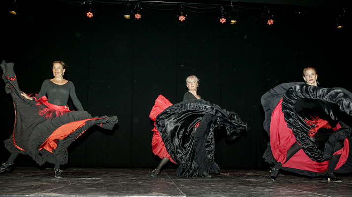 Oriental Dance Festival Denmark 2013